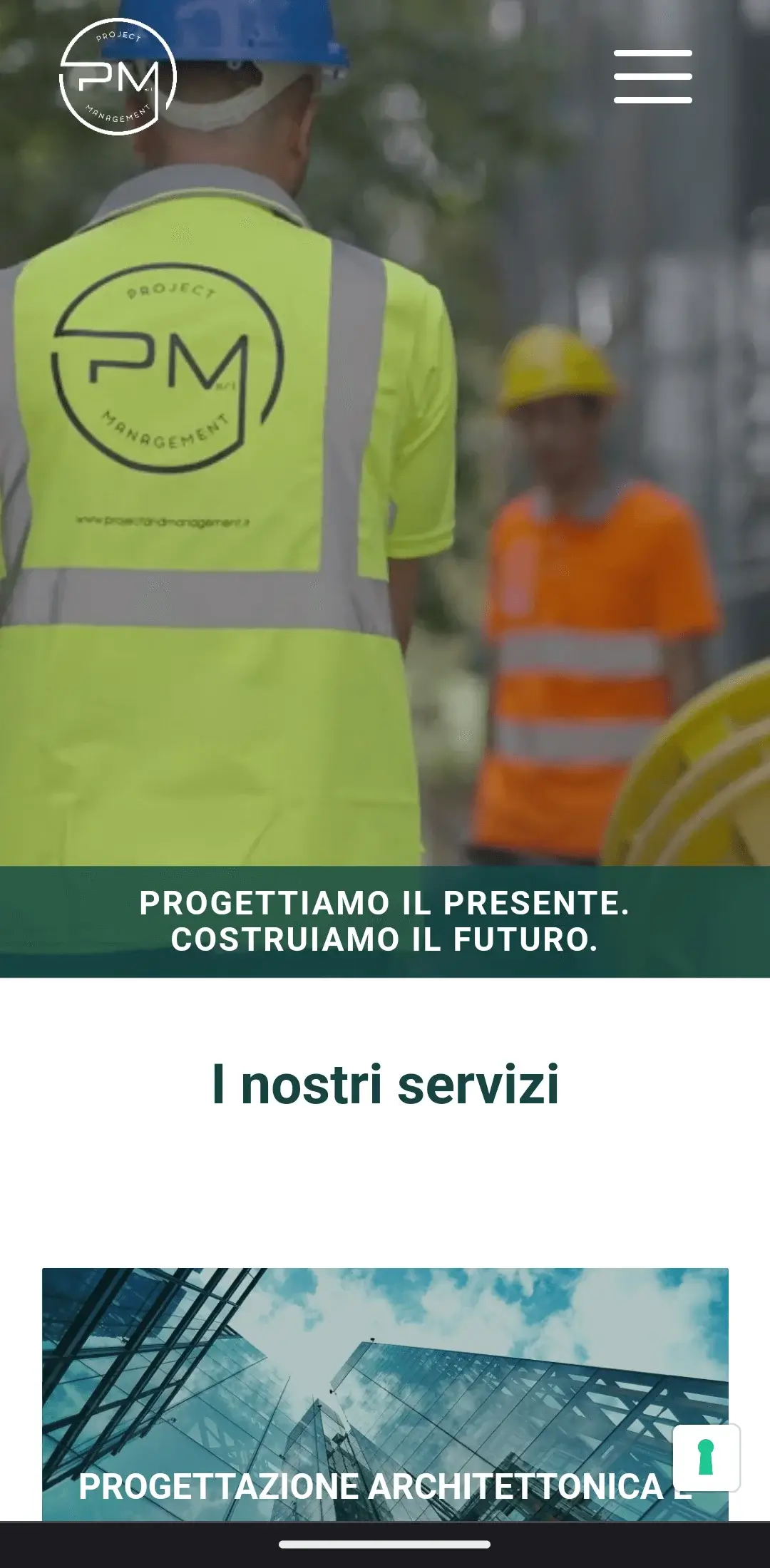 Project Project & Management Website, screen 2